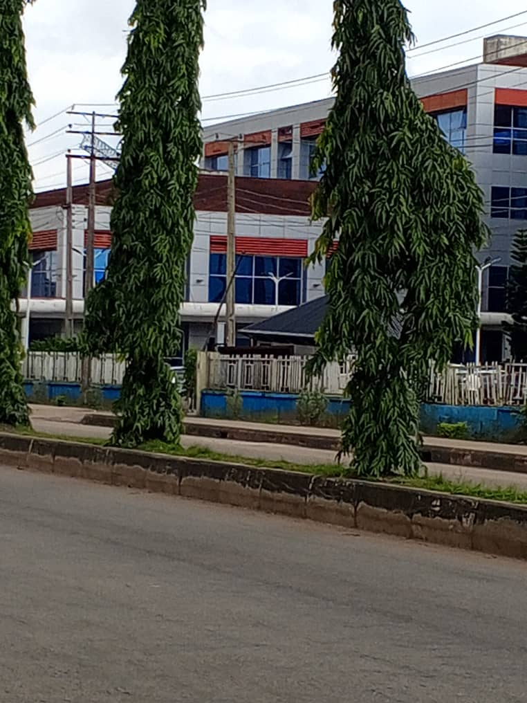 The BENIN CITY REALTOR